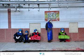 عکسهای منتخب جشنواره تخصصی بیطار