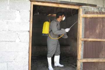 اقدامات پیشگیرانه اداره کل دامپزشکی گیلان علیه لمپی اسکین