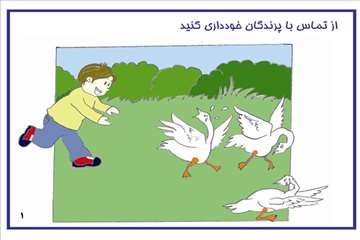 راههای پیشگیری از آنفلوانزای فوق حاد پرندگان