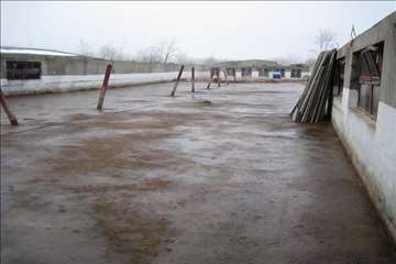 اكيپ عملياتي در برف انزلي و صومعه سرا