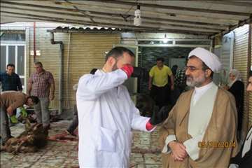 نظارت بهداشتی گیلان در روز عید سعید قربان(1393)