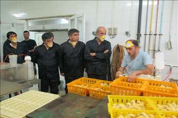 بازدید ریاست سازمان دامپزشکی کشور بهمراه هیئت روسی از مراکز تحت نظارت دامپزشکی گیلان(جوجه کشی و کشتا