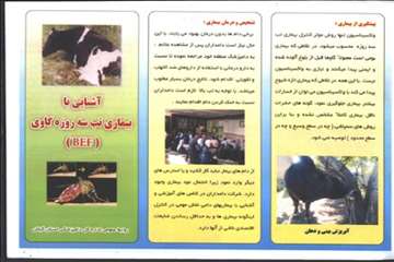 پمفلت های دامپزشکی گیلان 