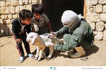 عکسهای منتخب جشنواره تخصصی بیطار