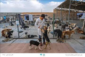 عکسهای منتخب جشنواره تخصصی بیطار