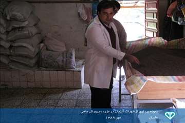 نمایشگاه عکس فعالیت های دامپزشکی