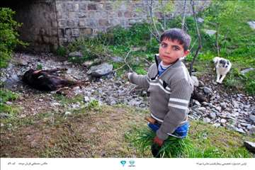 عکسهای منتخب جشنواره تخصصی بیطار