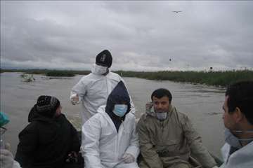 اجرای مانور پدافند غیرعامل مقابله با آنفلوآنزای پرندگان در تالاب انزلی