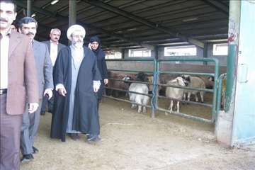 گيلان در روز عيد قربان