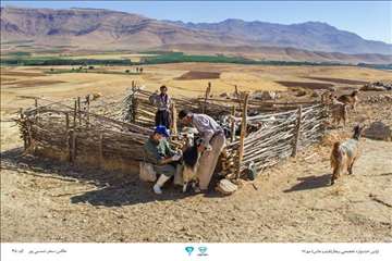 عکسهای منتخب جشنواره تخصصی بیطار