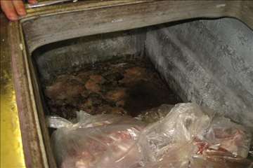 خدمات بهداشتی پیشگیری دامپزشکی گیلان -دهه فجر 94