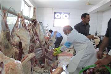 نظارت بهداشتی عید قربان به روایت تصویر(94)-گیلان