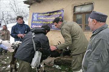 بازدید مدیر کل دامپزشکی گیلان از طرح تجمیع خدمات بهداشتی و دیدار با دامداران عشایر تالش