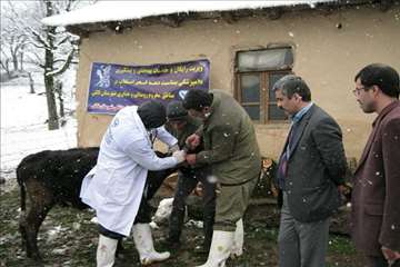 بازدید مدیر کل دامپزشکی گیلان از طرح تجمیع خدمات بهداشتی و دیدار با دامداران عشایر تالش