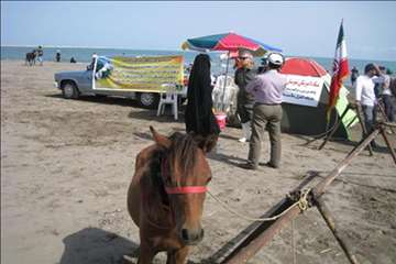 فعالیتهای شبکه دامپزشکی انزلی در جشنواره ملی اسب کاسپین