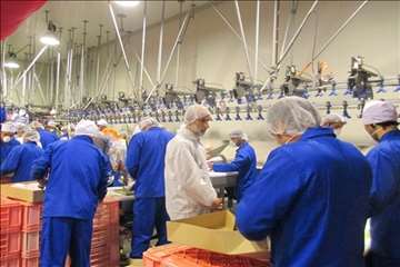 بازدید ریاست سازمان دامپزشکی کشور بهمراه هیئت روسی از مراکز تحت نظارت دامپزشکی گیلان(جوجه کشی و کشتا