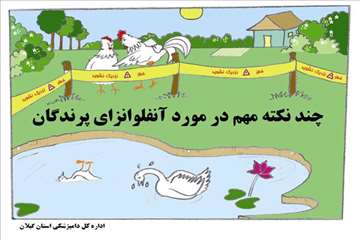 راههای پیشگیری از آنفلوانزای فوق حاد پرندگان