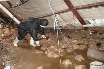 اكيپ عملياتي در برف انزلي و صومعه سرا