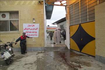 نظارت بهداشتی عید قربان 1395 گیلان به روایت تصویر