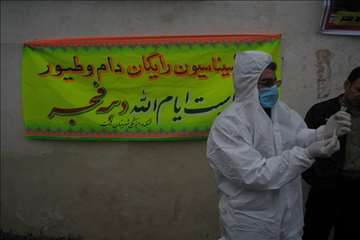 خدمات بهداشتی پیشگیری دامپزشکی گیلان -دهه فجر 94