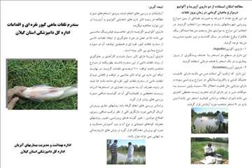 پملفتهای  بهداشتی