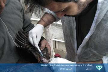 نمایشگاه عکس فعالیت های دامپزشکی