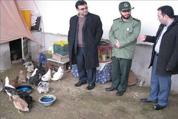 طرح ملی واکسیناسیون طیور روستایی گیلان بر علیه نیوکاسل (مرحله اول آذر 95)