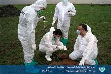 نمایشگاه عکس فعالیت های دامپزشکی