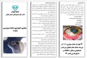 پمفلت های دامپزشکی گیلان 