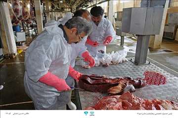 عکسهای منتخب جشنواره تخصصی بیطار