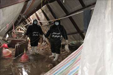 اكيپ عملياتي در برف انزلي و صومعه سرا