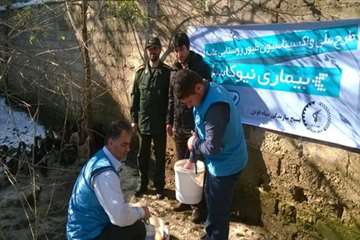 طرح ملی واکسیناسیون طیور روستایی گیلان بر علیه نیوکاسل (مرحله اول آذر 95)