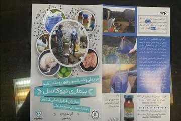 طرح ملی واکسیناسیون طیور روستایی گیلان بر علیه نیوکاسل (مرحله اول آذر 95)