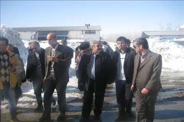 حضور رييس سازمان دامپزشكي و هيات همراه در مناطق برفگير گيلان