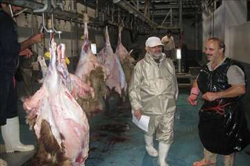 گيلان در روز عيد قربان