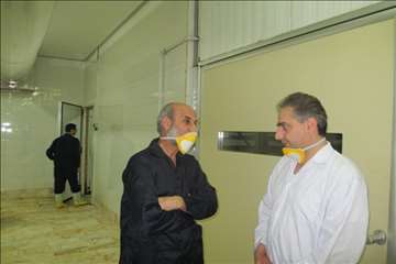 بازدید ریاست سازمان دامپزشکی کشور بهمراه هیئت روسی از مراکز تحت نظارت دامپزشکی گیلان(جوجه کشی و کشتا