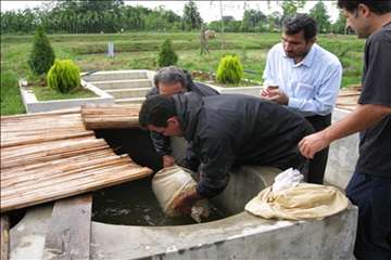 فعالیتهای اداره آبزیان گیلان