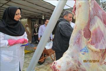 نظارت بهداشتی گیلان در روز عید سعید قربان(1393)