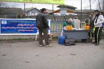 فعالیت های دامپزشکی گیلان در دهه فجر 1393