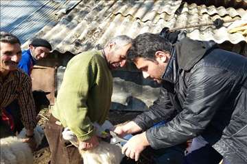 خدمات بهداشتی پیشگیری دامپزشکی گیلان -دهه فجر 94