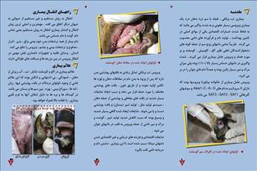 پملفتهای  بهداشتی