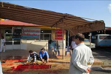 نظارت بهداشتی گیلان در روز عید سعید قربان(1393)