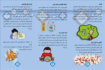 پملفتهای  بهداشتی