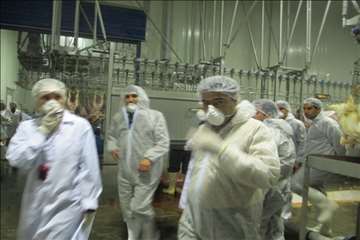 بازدید ریاست سازمان دامپزشکی کشور بهمراه هیئت روسی از مراکز تحت نظارت دامپزشکی گیلان(جوجه کشی و کشتا