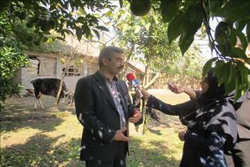 طرح تجمیع عملیات فنی دامپزشکی در مرز دشت خمام به مناسبت هفته دامپزشکی(13 مهر 95)