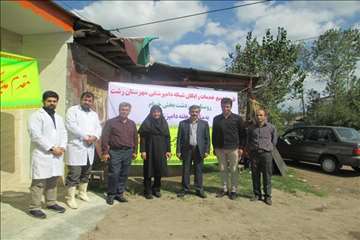 طرح تجمیع عملیات فنی دامپزشکی در مرز دشت خمام به مناسبت هفته دامپزشکی(13 مهر 95)