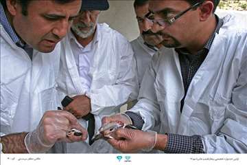 عکسهای منتخب جشنواره تخصصی بیطار