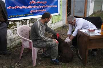 فعالیت های دامپزشکی گیلان در دهه فجر 1393
