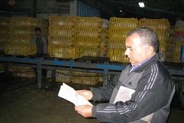 طرح رد يابي فراورده هاي خام دامي