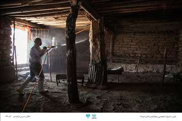 عکسهای منتخب جشنواره تخصصی بیطار